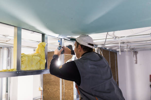 Insulation for Commercial Buildings in Spring Valley, MN