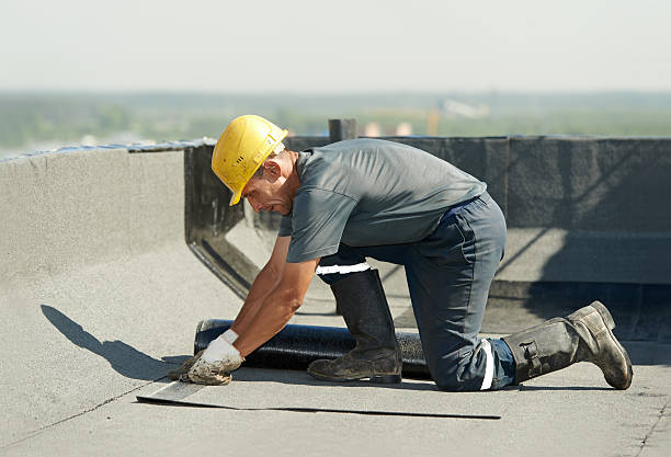 Best Home Insulation Services  in Spring Valley, MN